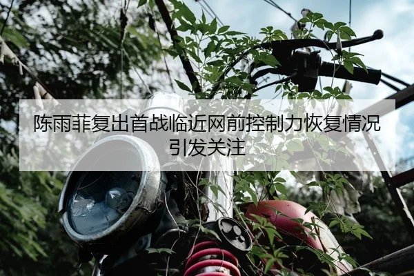 陈雨菲复出首战临近网前控制力恢复情况引发关注